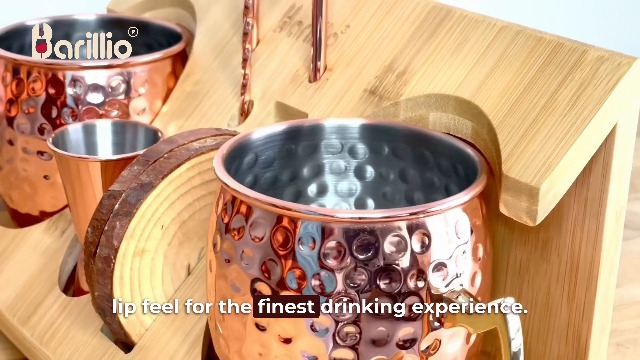 Amazon.com: Barillio Moscow Mule Mugs Set - 2 Stainless Steel